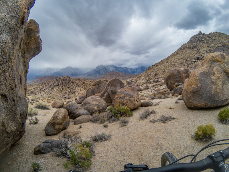 Taking in the views from the Horse Trail