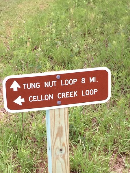 Trailhead sign for Tung Nut where it intersects with Cellon Creek Loop and the Powerline