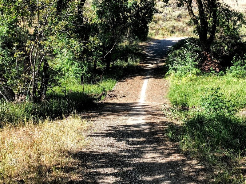 Santa Teresa Creek crossing on Calero Creek Trail. Impassable after heavy rains.