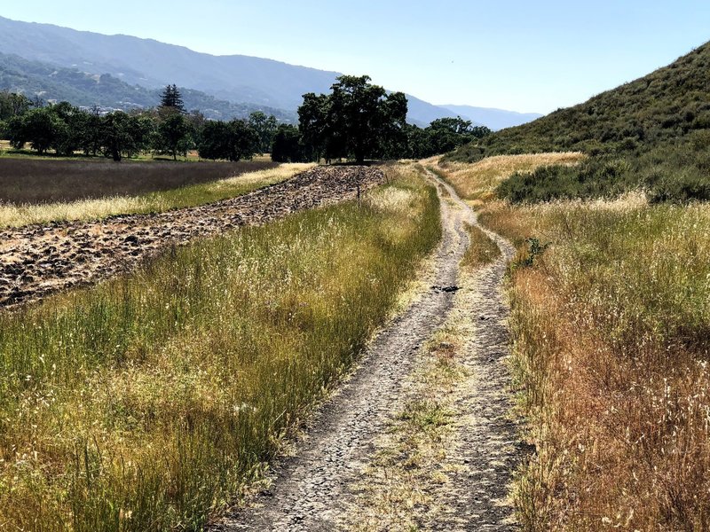 Eastern part of Calero Creek Trail.