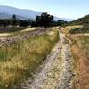 Eastern part of Calero Creek Trail.