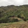 Looking up the mountain at the top of Wills Canyon Trail