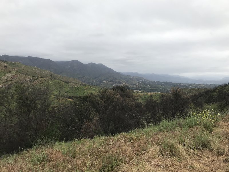 Looking east towards Ojai from top of Wills Canyon Trail