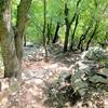 Hellacious descent on Boulder City