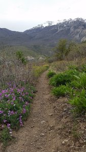 BST - Provo Canyon Section