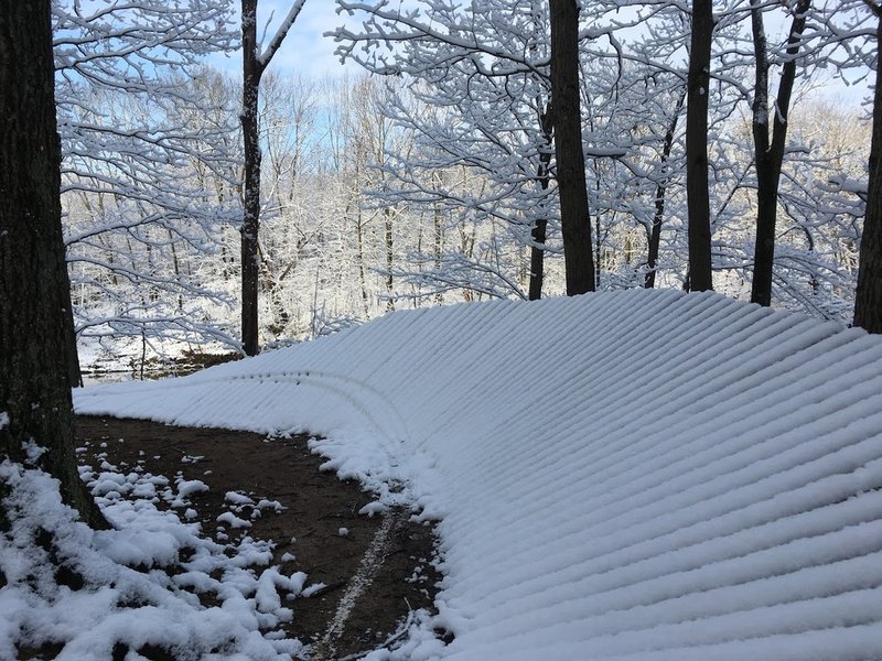 How far up do you dare in the wet snow?