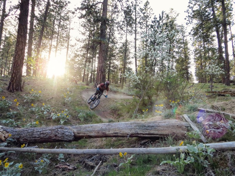 One of the large berms on Stalingrab.