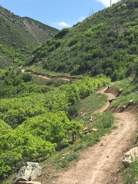 Nice new trail just west of Glenwood Springs