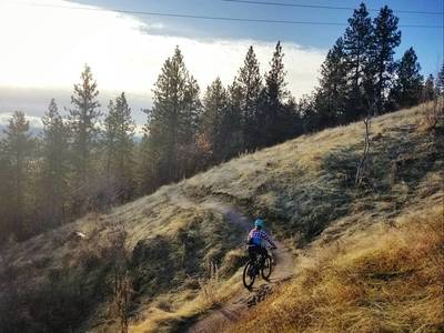 Climbing up Good Behavior.