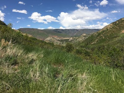 Top of Tramway, beginning of Lightning Bug