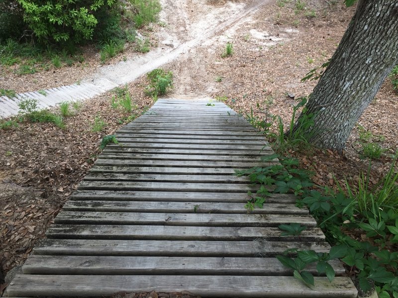 Final technical feature at Graham Swamp (from the top)