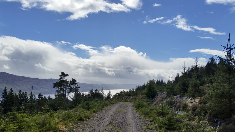 A fantastic variety of trails - gravel logging road here, heading west