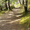 Gorgeous singletrack trails down to Invermoriston