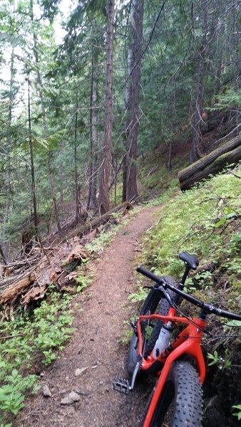 This is around mile marker 7.5 and facing south (bike pointing north). It gives you a good impression of the narrowness of the singletrack but not the exposure or steepness of the trail.