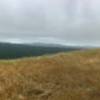 View from eastern descent, Barnabe Fire Road on right