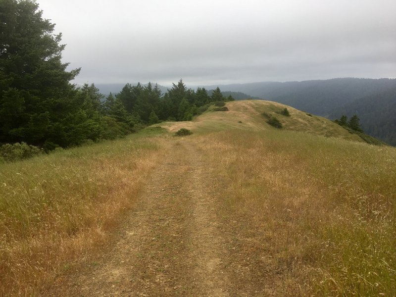 The fire road is in very good condition, just a couple ruts here and there, but otherwise quite smooth.