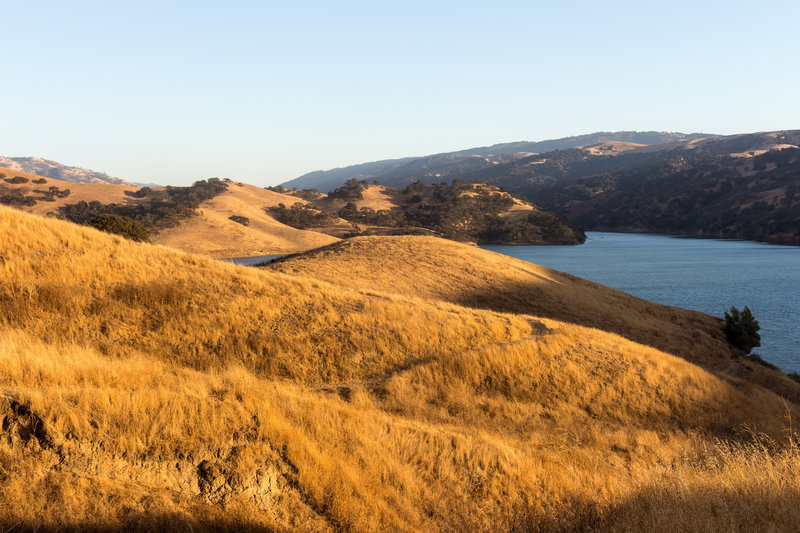 Grassy northern shore of Lake Del Valle during sunset.