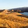 Grassy northern shore of Lake Del Valle during sunset.