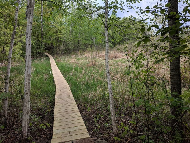 Bridge across a section of swamp/grass prone to flooding.