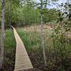 Bridge across a section of swamp/grass prone to flooding.