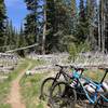 This is but one of many beautiful meadows along this trail system. Perfect photo opportunity.