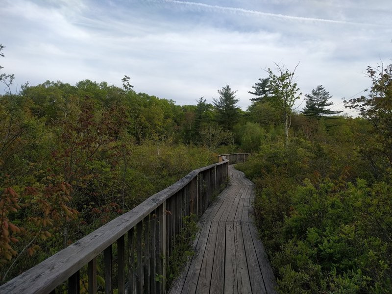 Boardwalk and a nice view of the pond