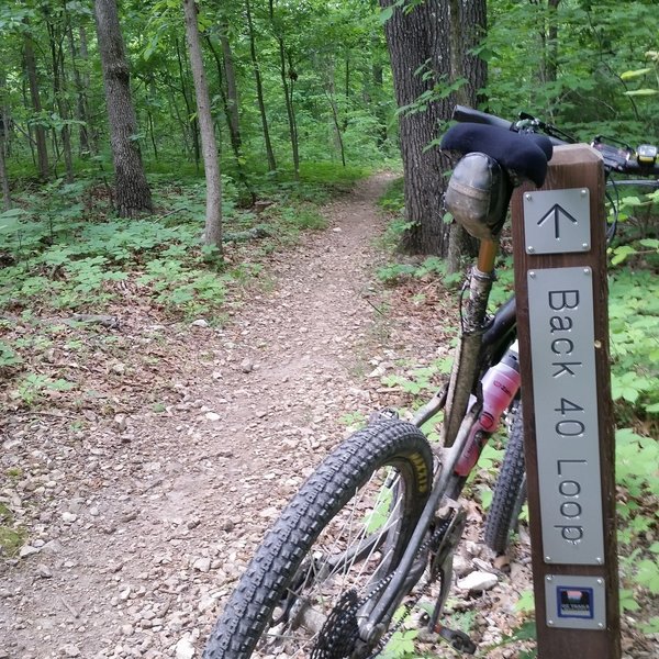 The signage is superb. More riding and less map reading equals big smiles.