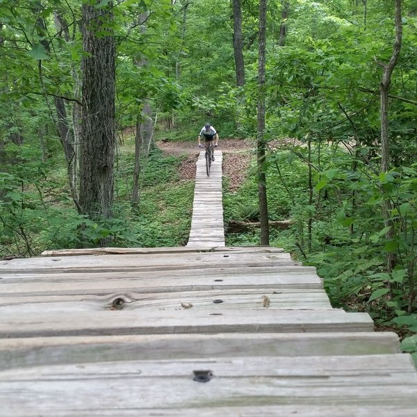 I love split cedar bridges on mtb trails. Gives it that harvested-locally look.