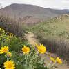 Looking north from Tramway Trail towards the Flattops.