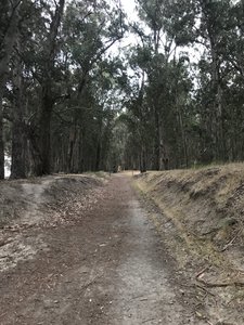 Part of the Bay View Trail