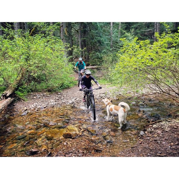 Finally creek crossing at the trailhead.