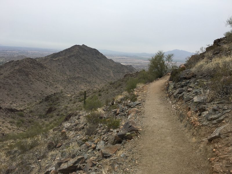 Along Skyline Crest looking southeast.