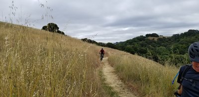 Well groomed, gently sloping singletrack!