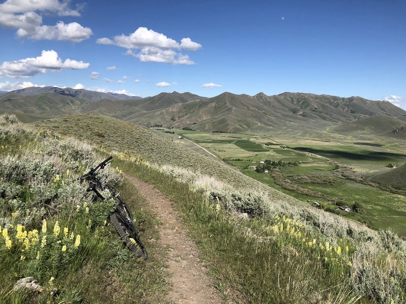 Highest point of Hidden Valley Loop, providing nice views of the valley below.