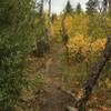 Aspen section on the south end of Red Warrior trail.