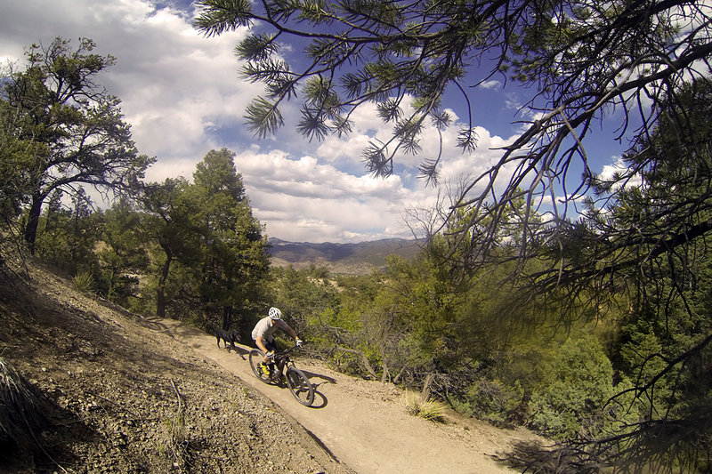 Rider and dog riding along the new Spartan East trail