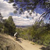 Rider and dog riding along the new Spartan East trail