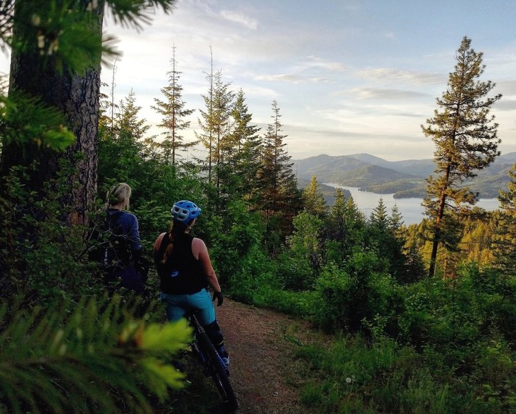 Hayden Lake views on Big Tree