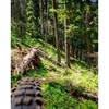 Bernard Peak Trail