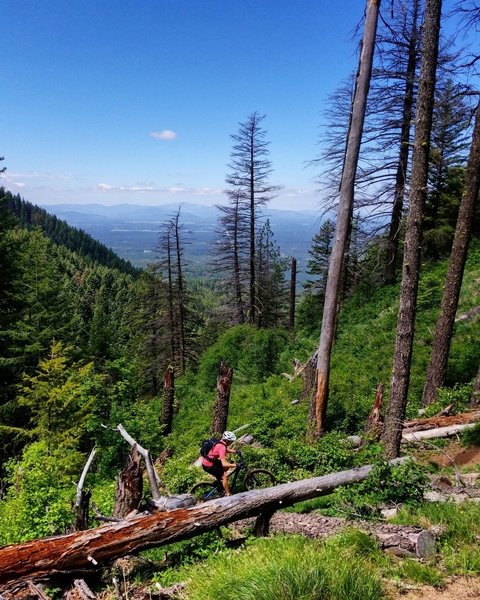 The first large switchback the provides views on Bernard Peak.