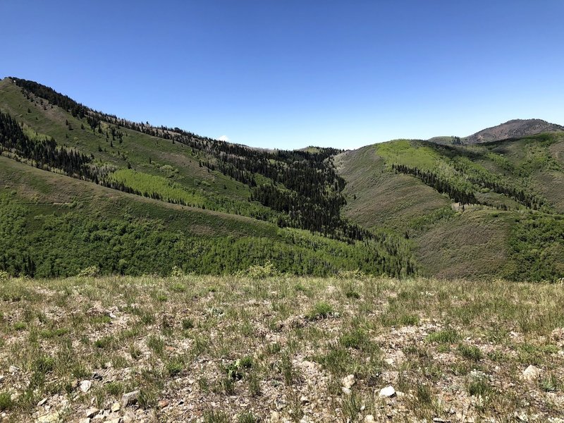 View of Murdock Peak and its slope