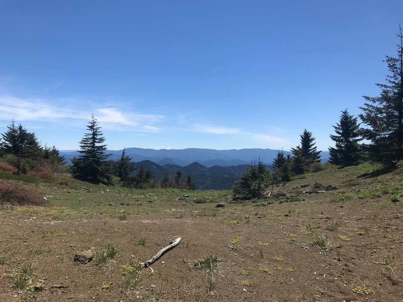 Looking south from the ridge