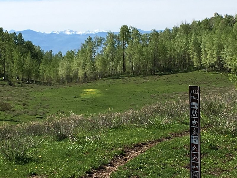 Distant views of the Elk Range.