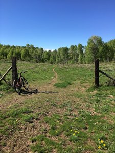Don’t forget to close the gate behind you.