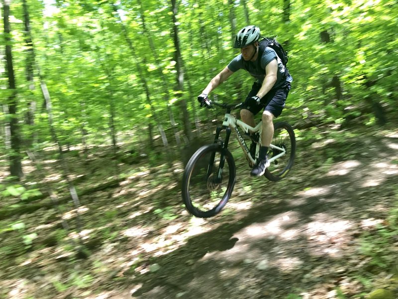 One of several jumps on the downhill section of Harvey Mountain