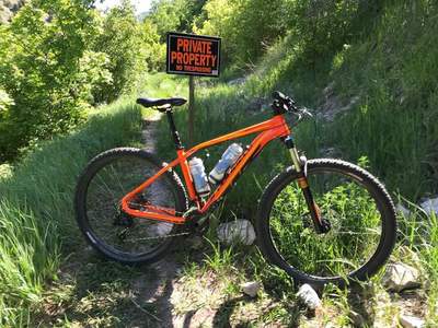 2015 specialized rockhopper pro evo online 29