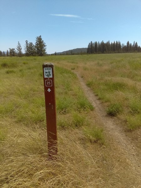 Trail 25