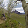 Aspen trees, Mount Crested Butte, and an awesome trail.