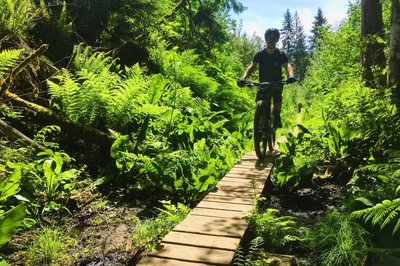 Be prepared for a long bridge at the start of Tracks From Hell.