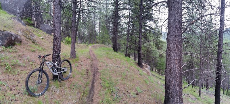 This trail has lots of flow and speed for being so remote. Lots of fun.